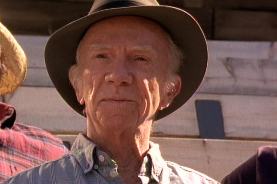 Фото - Противостояние: 900x600 / 55.73 Кб