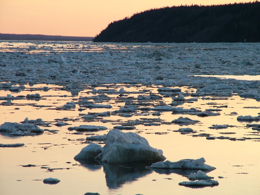 Фото - Счастливые люди: Год в тайге: 850x638 / 157.64 Кб