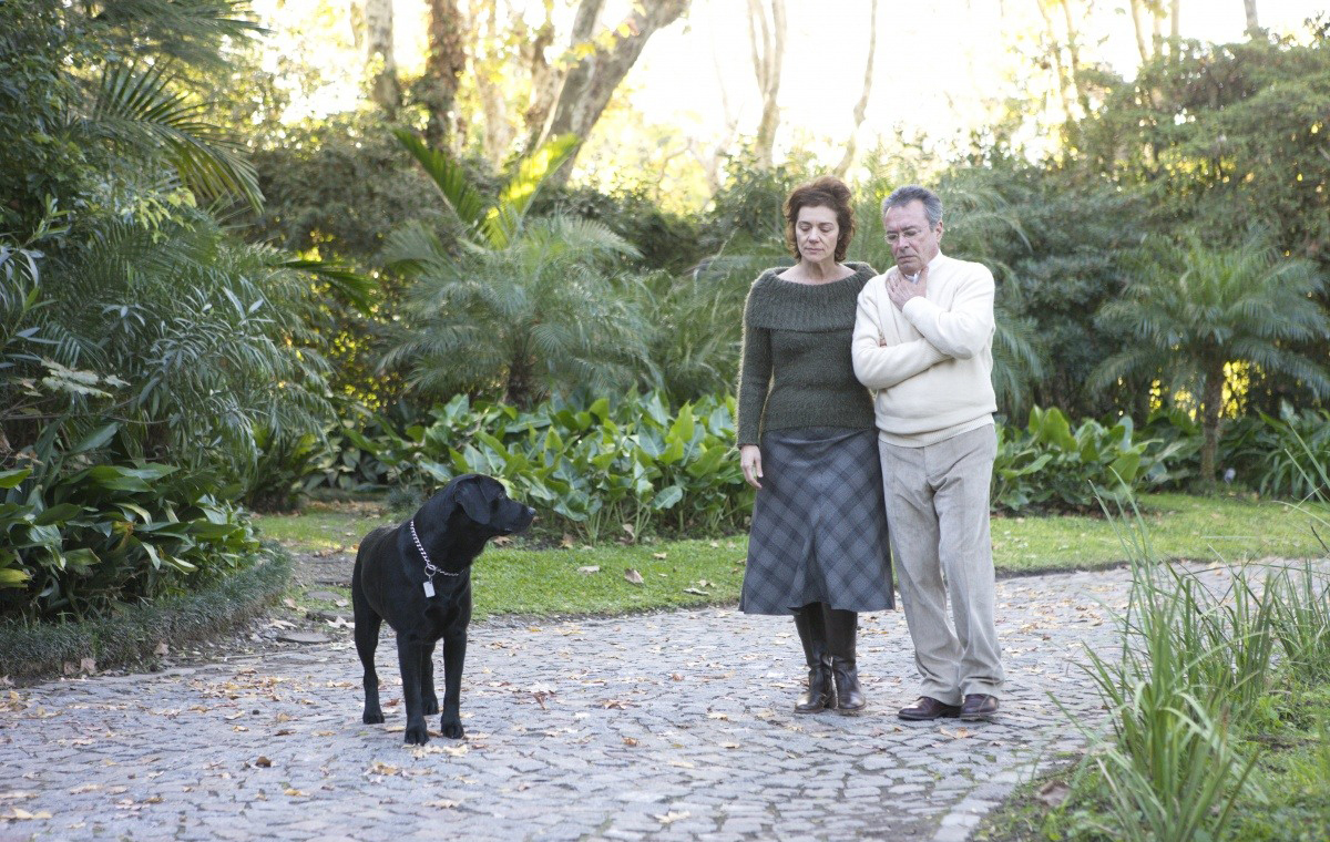 Фото - Дикие истории: 1200x760 / 708.55 Кб