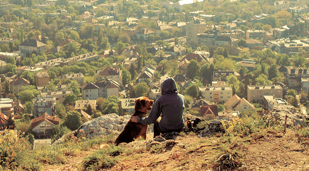 Фото - Белый Бог: 1000x554 / 263.36 Кб