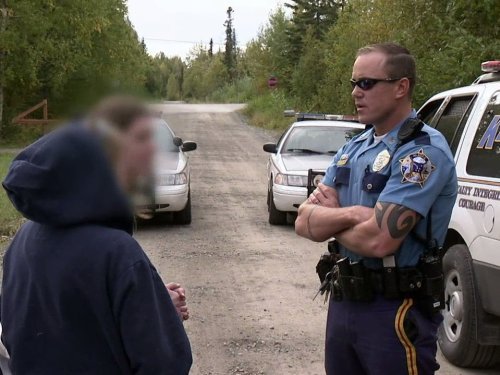 Фото - Deep Woods Standoff: 500x375 / 44 Кб