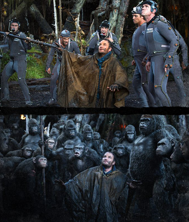 Фото - Планета обезьян: Революция: 650x762 / 517.42 Кб