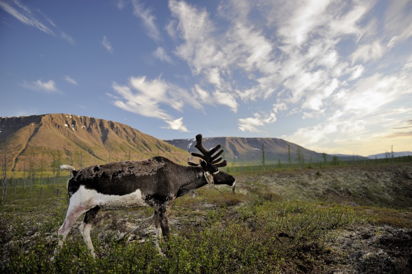 Фото - Территория: 850x566 / 158.03 Кб