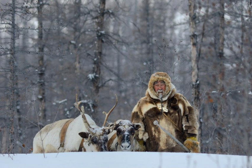 Фото - Территория: 850x565 / 138.38 Кб