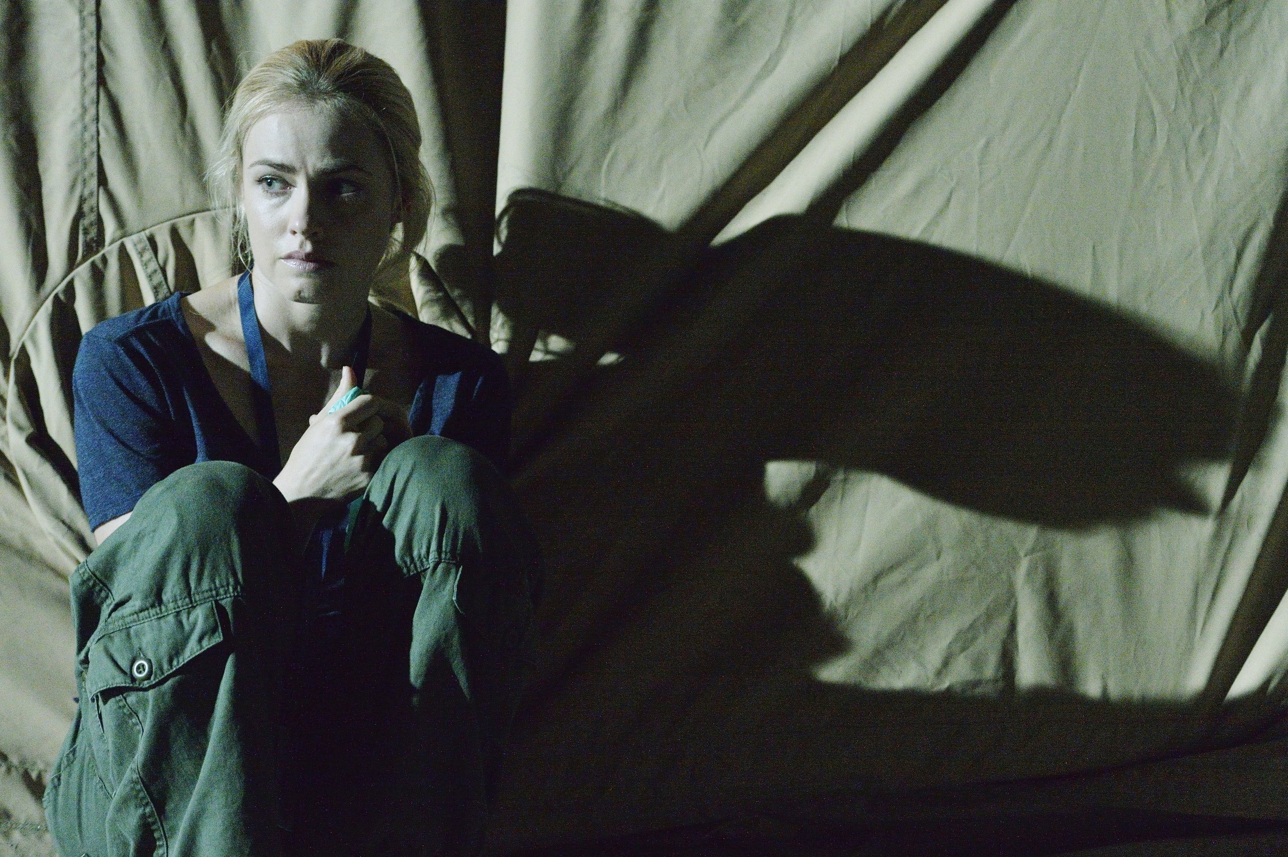 Фото - 12 обезьян: 2560x1704 / 1315.64 Кб