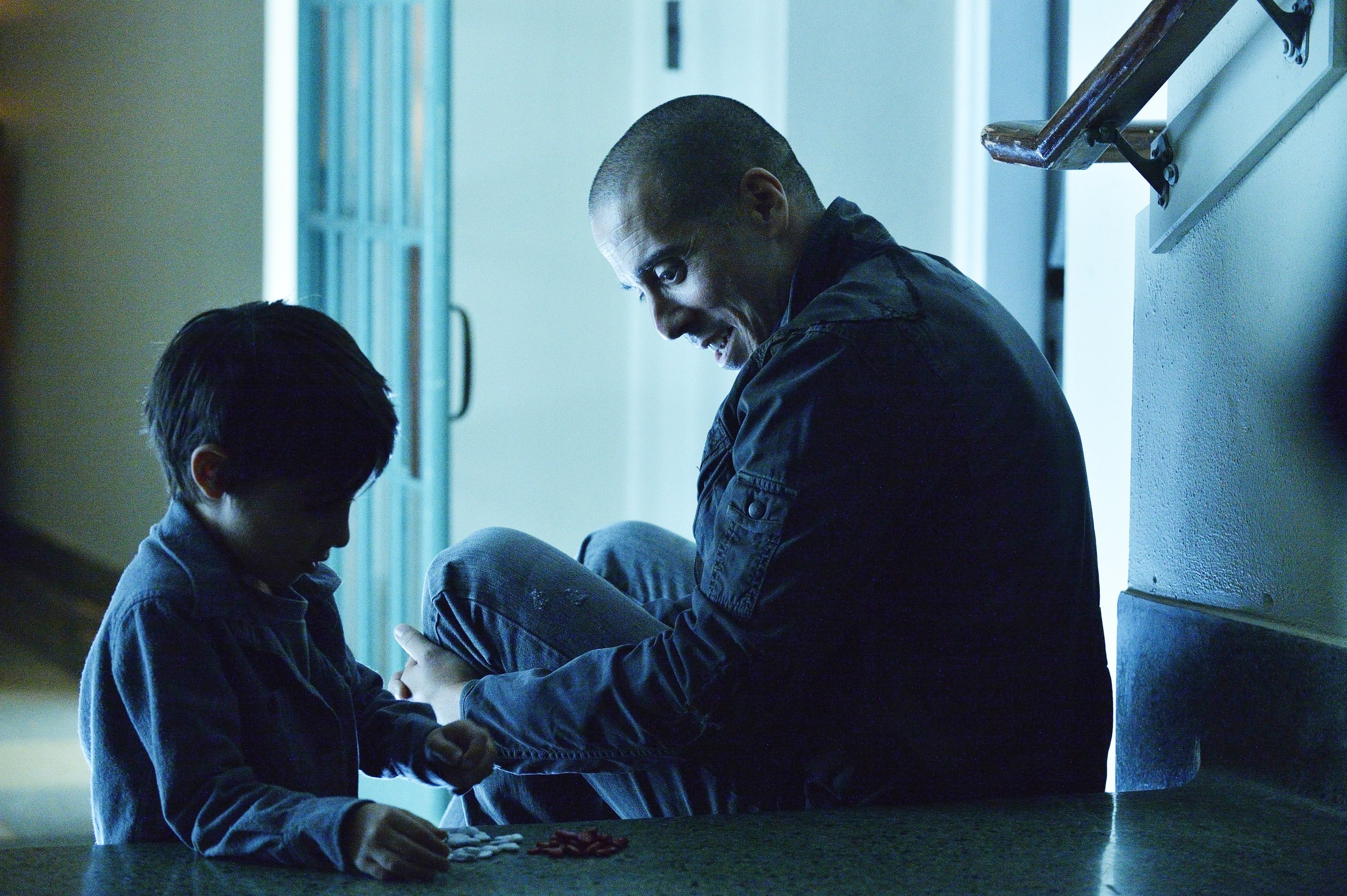 Фото - 12 обезьян: 2560x1704 / 1167.51 Кб