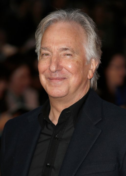 Фото - Небольшой хаос: 516x720 / 39 Кб