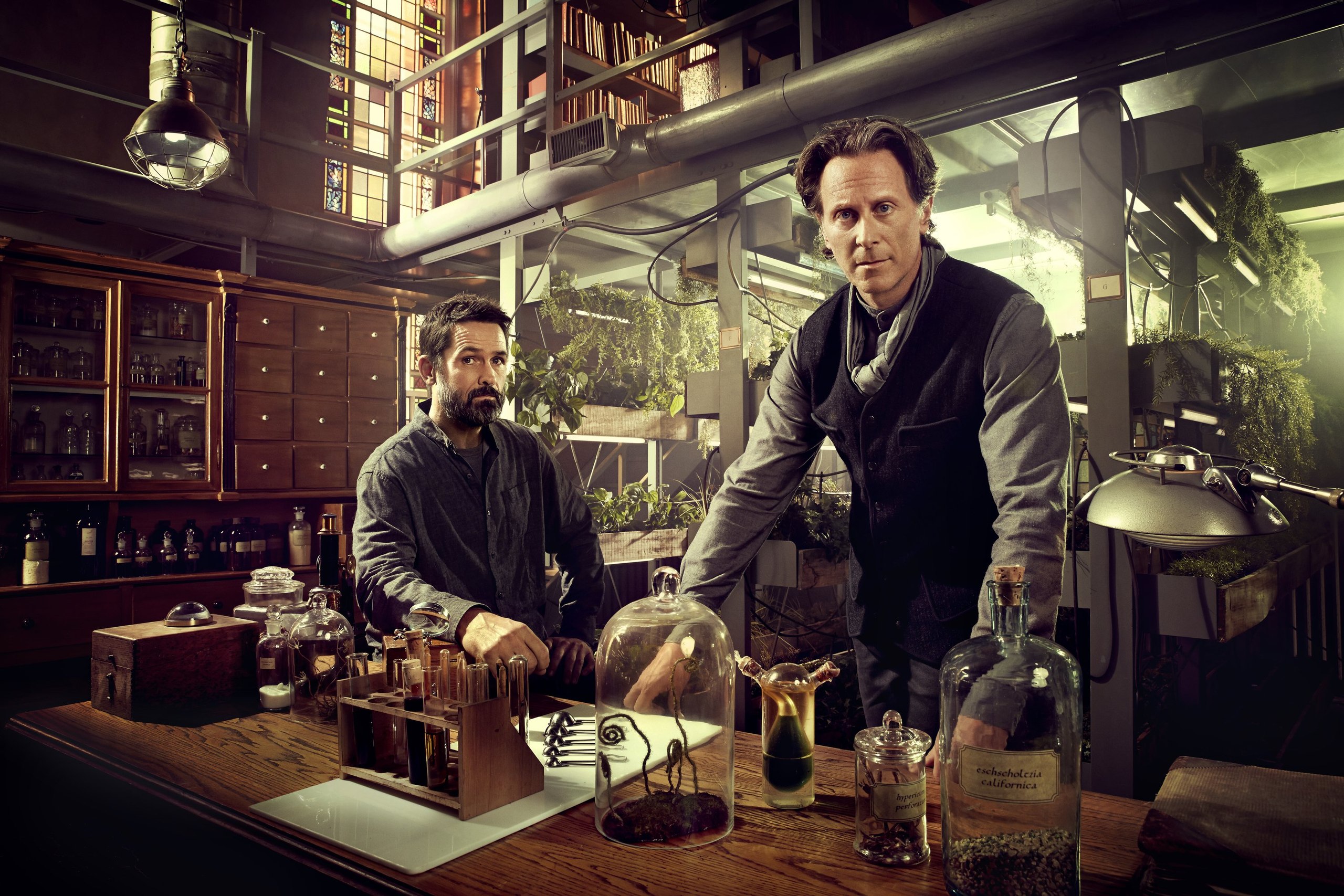 Фото - Спираль: 2560x1707 / 886.95 Кб