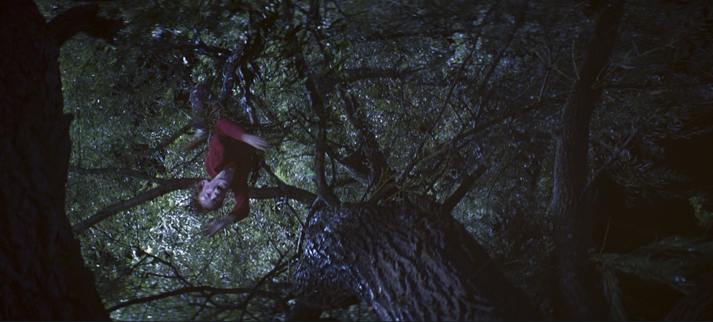 Фото - Полтергейст: 1024x463 / 396.85 Кб