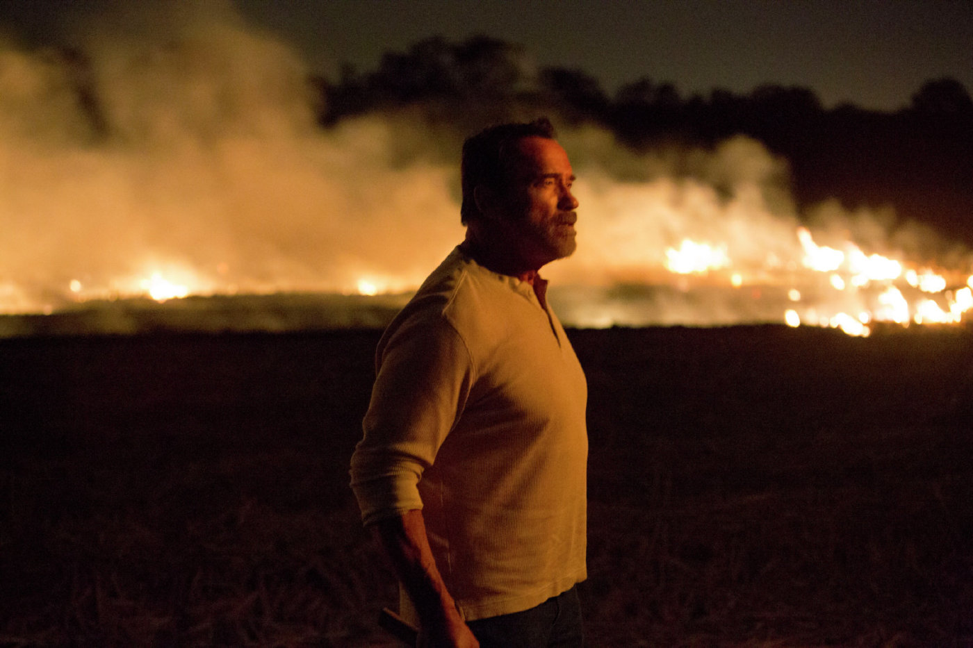 Фото - Зараженная: 1400x933 / 178.15 Кб