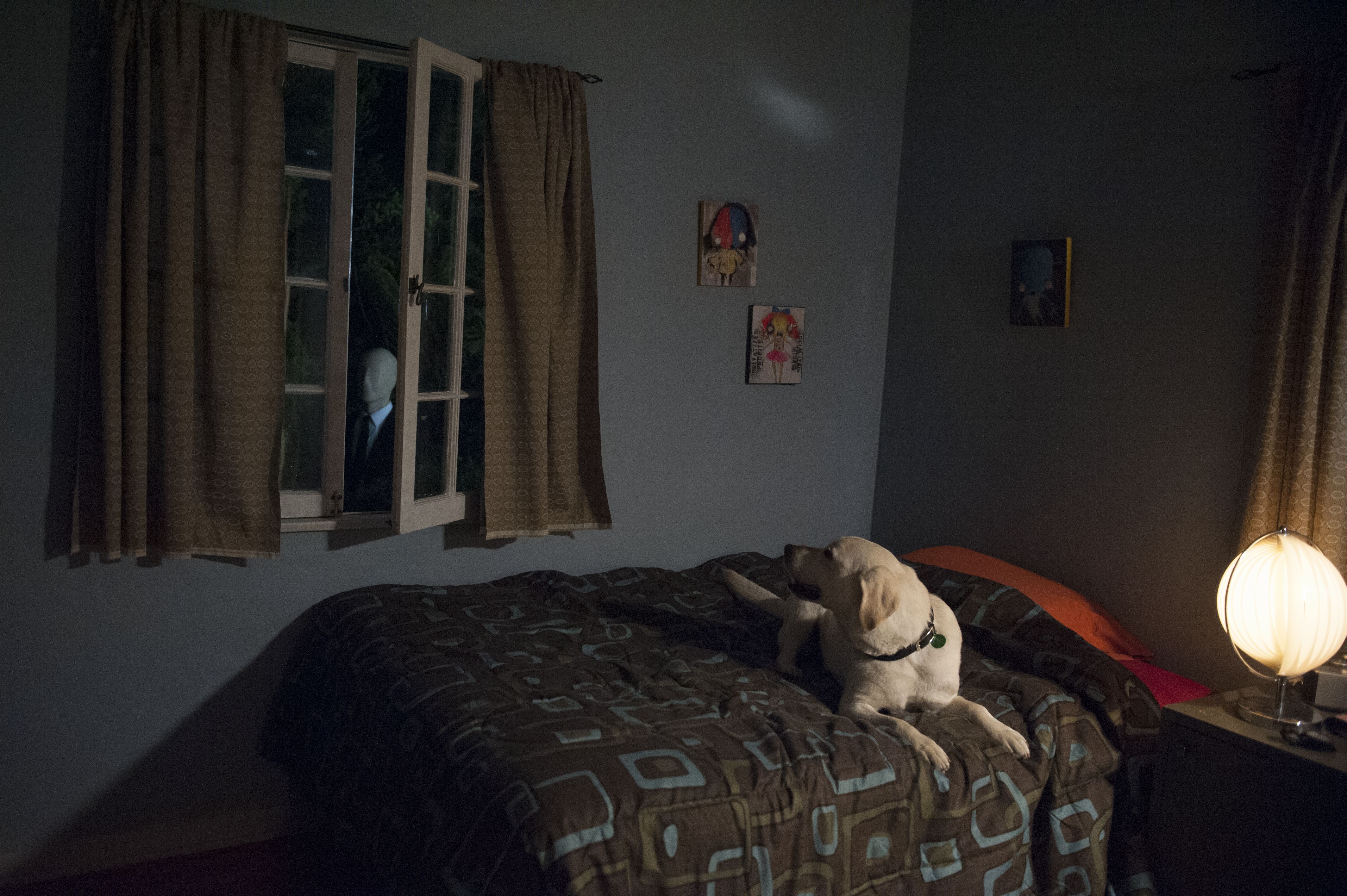 Фото - Слендер: 4256x2832 / 2154.7 Кб