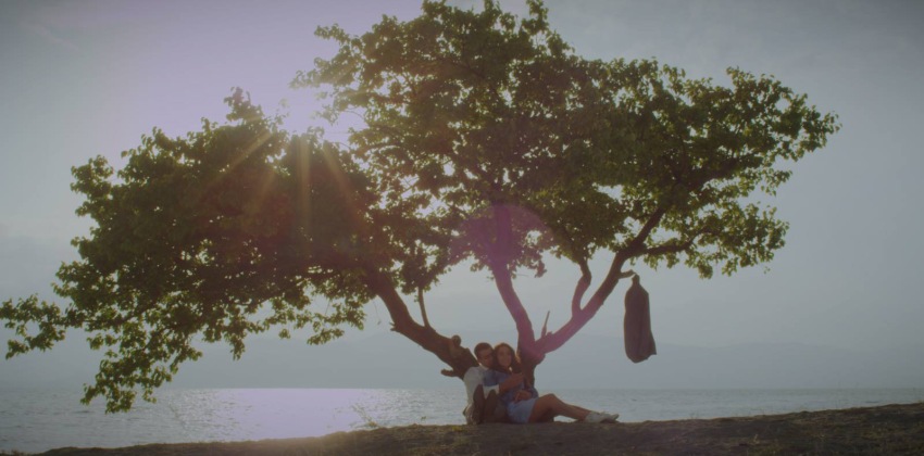 Фото - Прерванный полет: 850x420 / 90.97 Кб