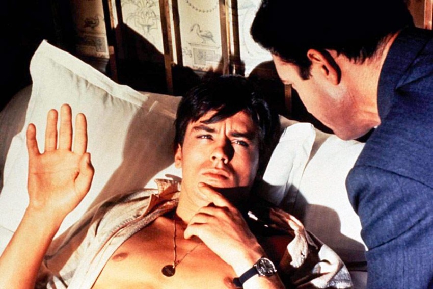 Фото - На ярком солнце: 850x567 / 132.04 Кб