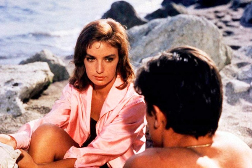 Фото - На ярком солнце: 850x567 / 126.9 Кб