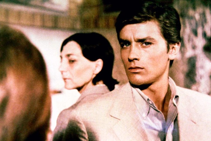 Фото - На ярком солнце: 850x567 / 122.23 Кб