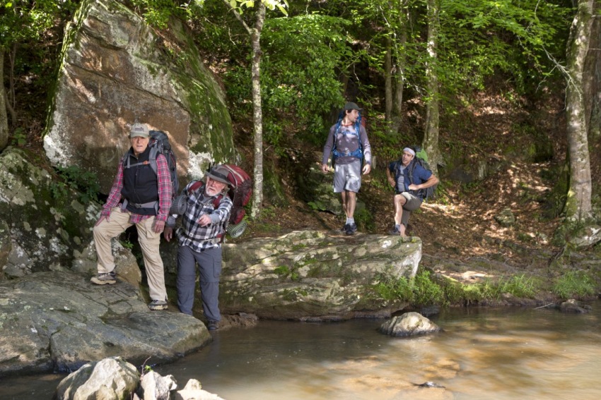 Фото - Прогулка по лесам: 850x567 / 215.69 Кб