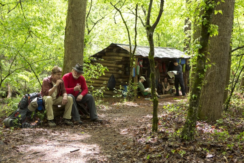 Фото - Прогулка по лесам: 850x567 / 265.94 Кб