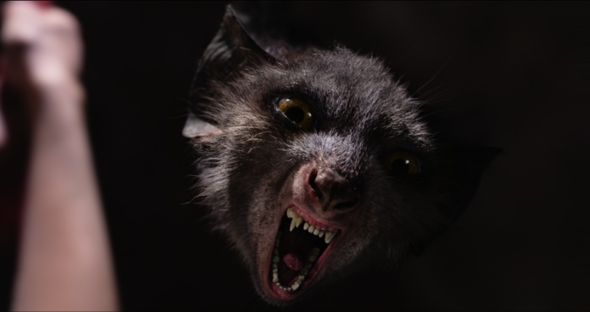 Фото - Он — дракон: 850x449 / 49.34 Кб