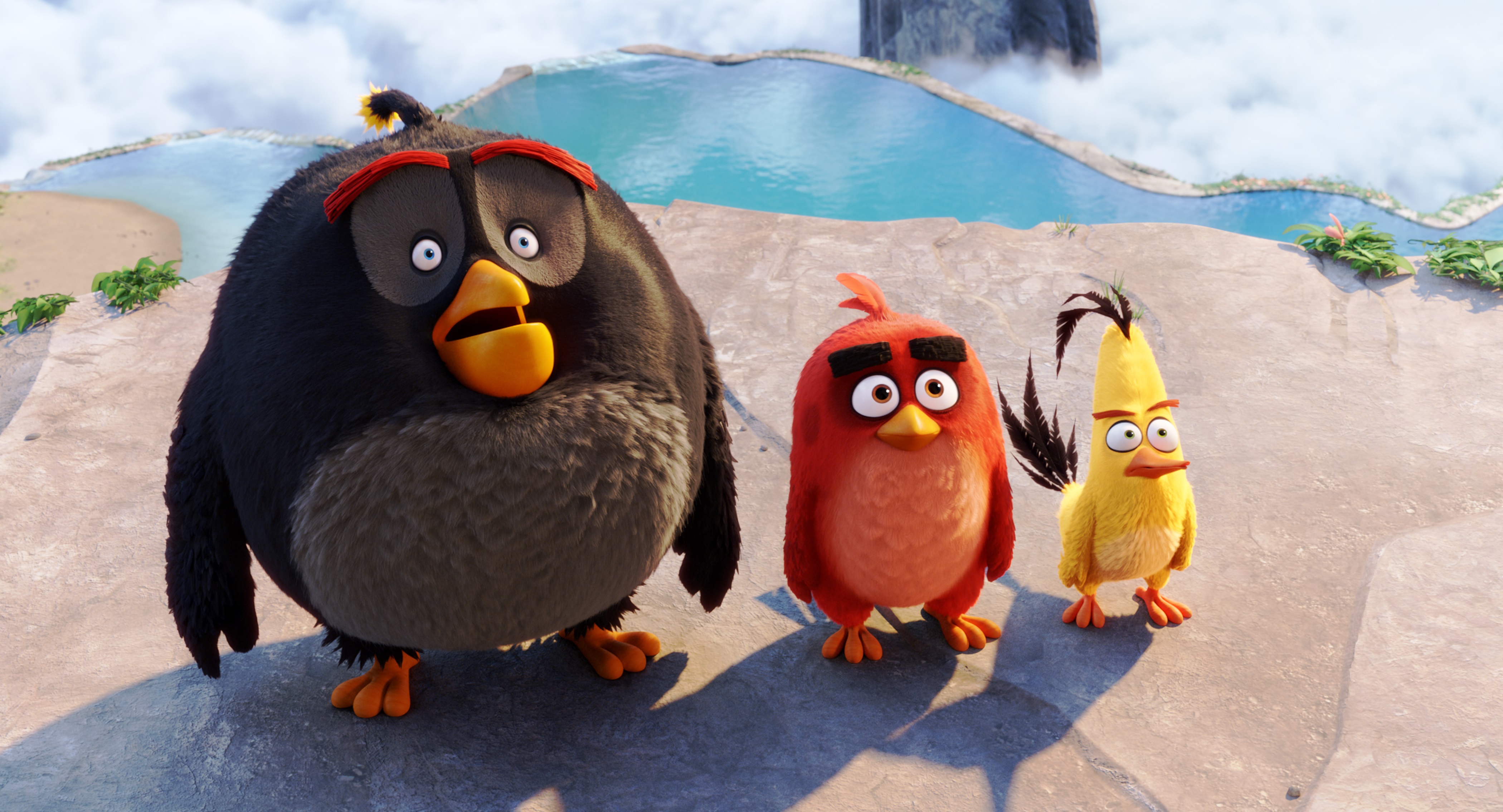 Фото - Angry Birds в кино: 4200x2270 / 1632.41 Кб