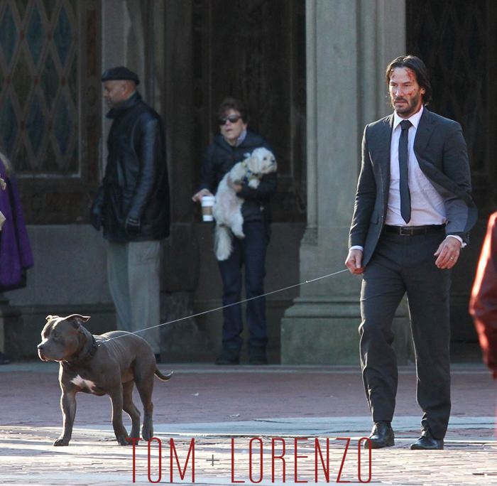 Фото - Джон Уик 2: 700x684 / 62.43 Кб