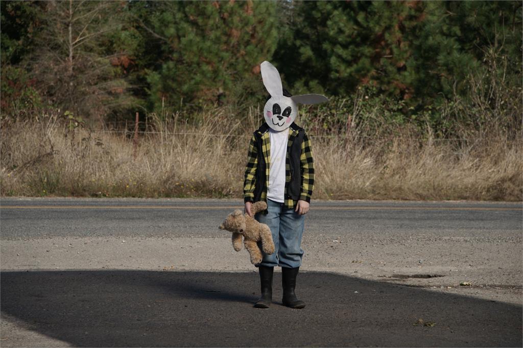 Фото - Лихорадка: 1024x683 / 112 Кб