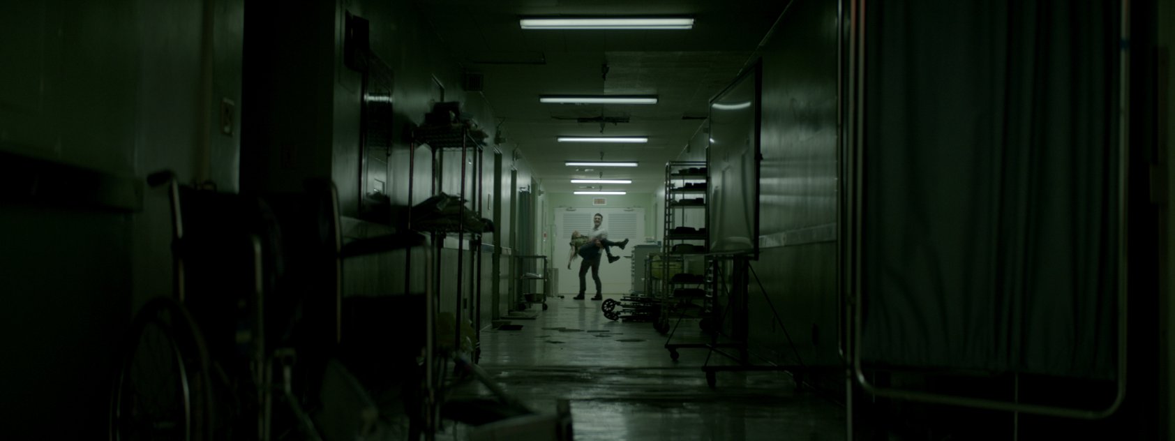 Фото - Монстры юга: 1684x632 / 76.3 Кб