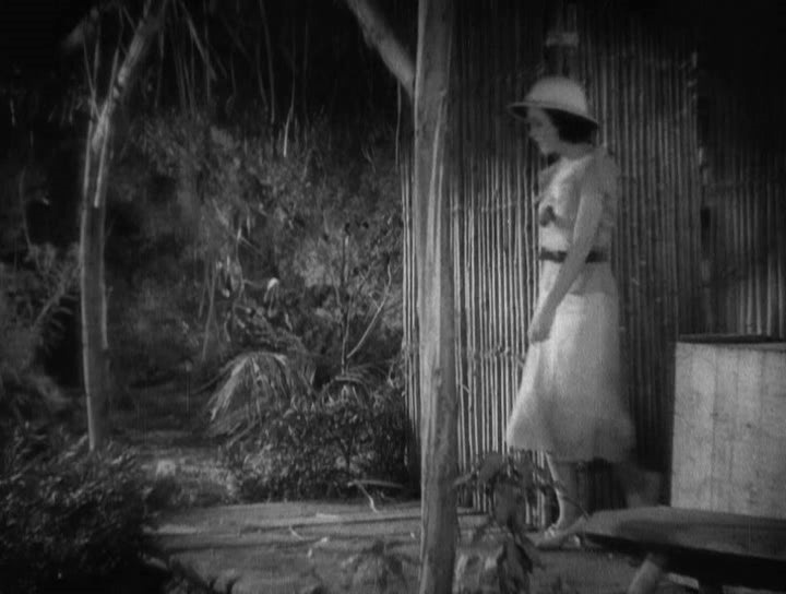 Фото - Тарзан: Человек-обезьяна: 720x544 / 72.9 Кб