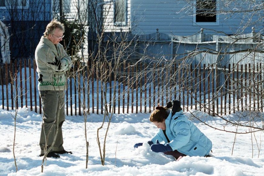Фото - Снежный пирог: 850x567 / 212.34 Кб