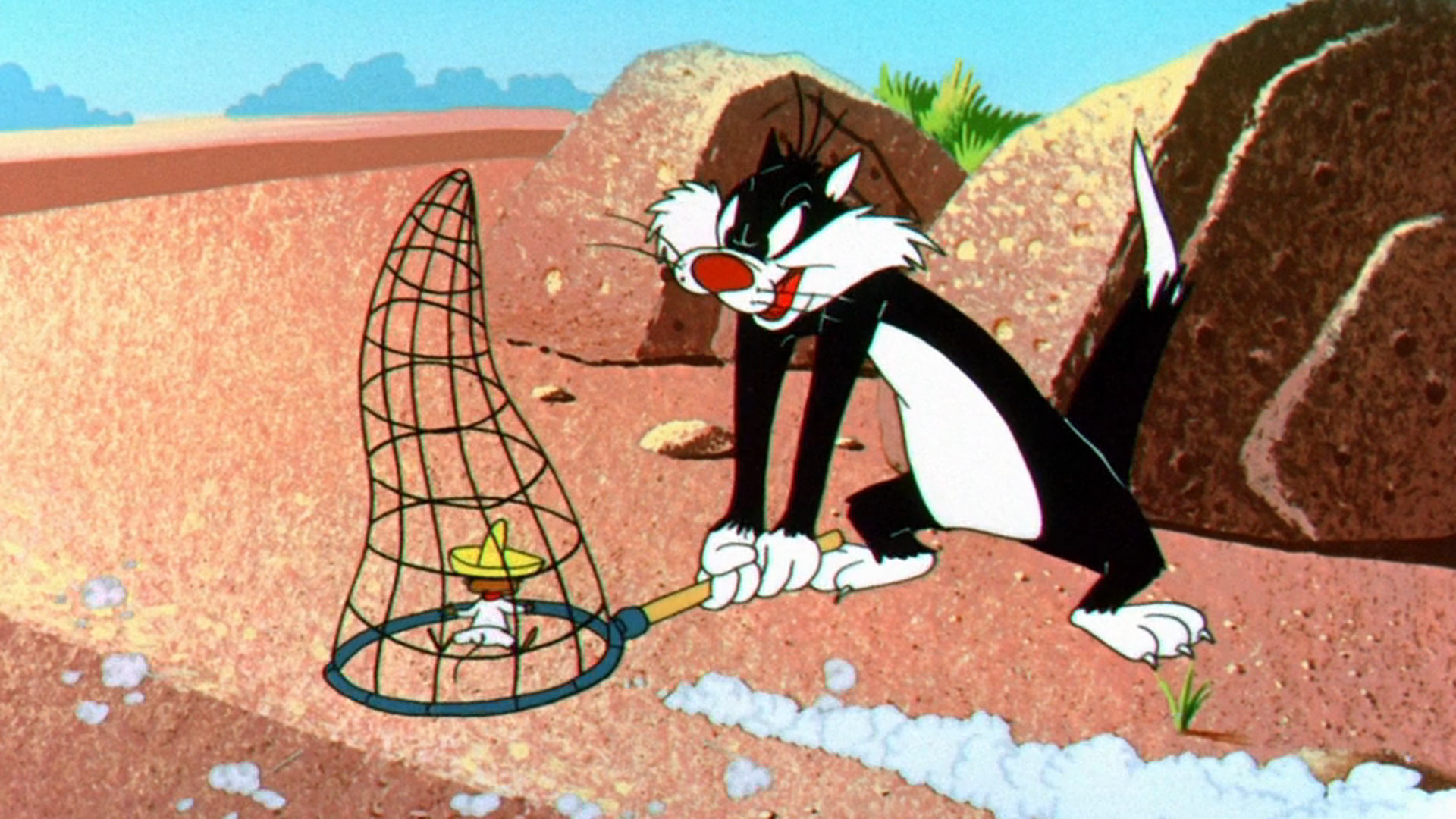 Фото - Быстрый Гонзалес: 1920x1080 / 478.27 Кб