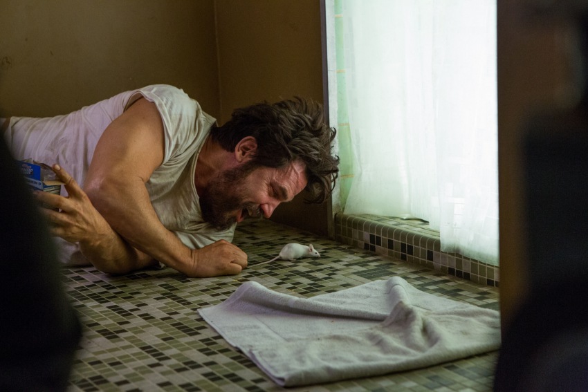 Фото - Олдбой: 850x567 / 108.6 Кб