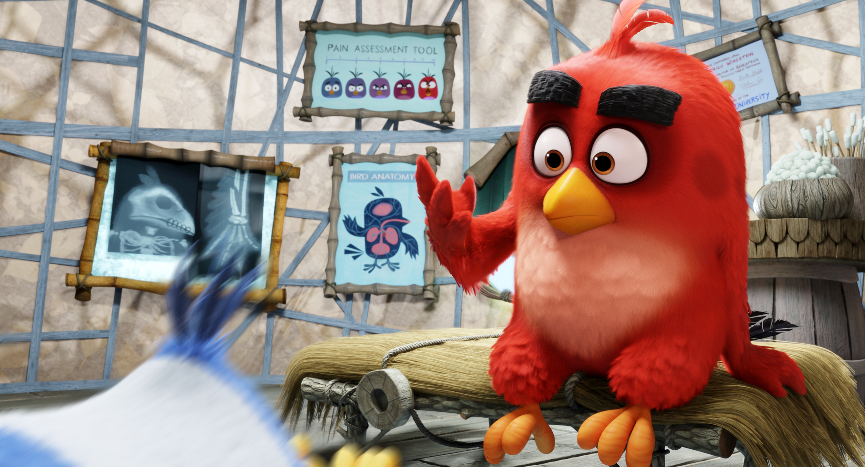 Фото - Angry Birds в кино: 3000x1621 / 4014.17 Кб