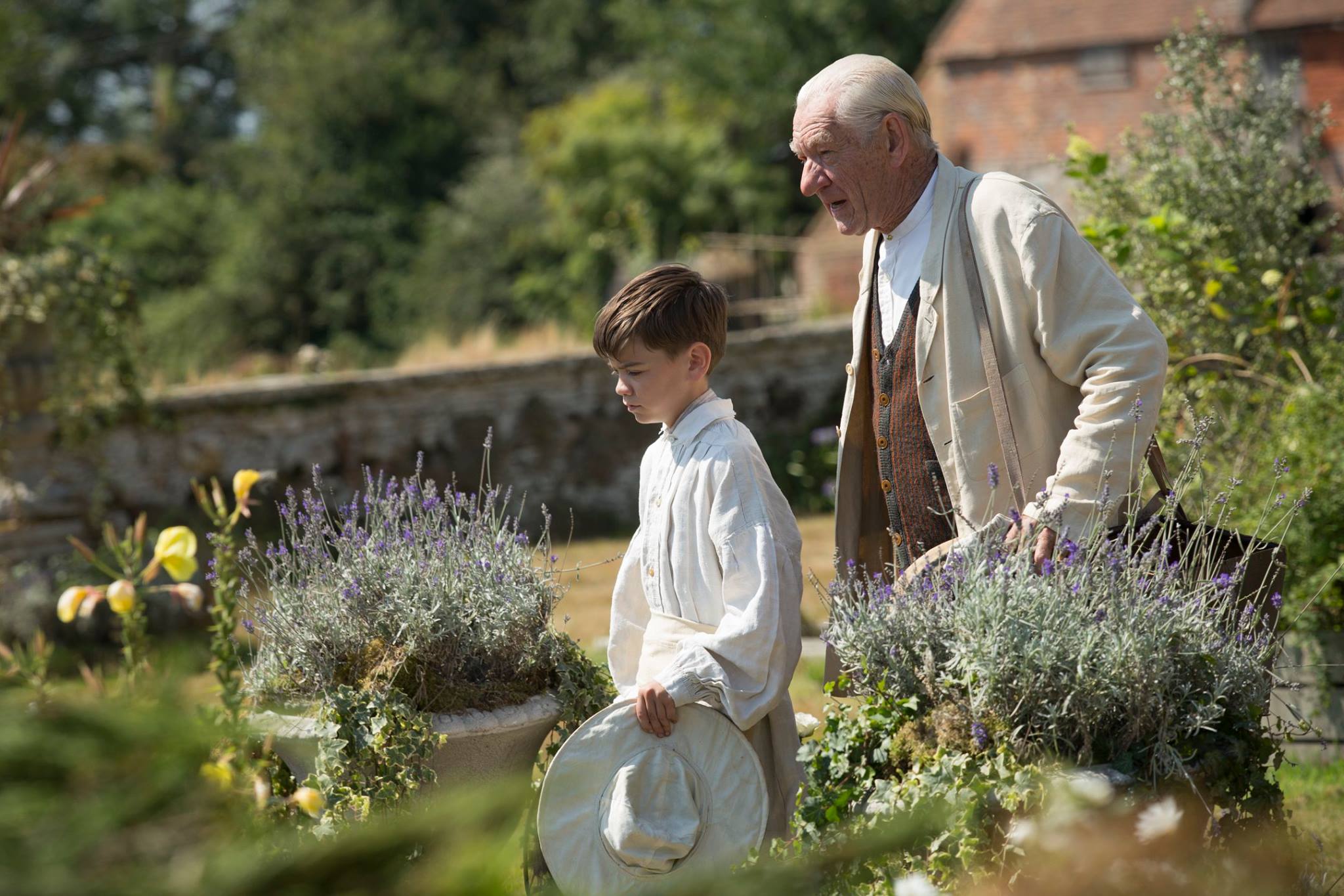 Фото - Мистер Холмс: 2048x1365 / 307.07 Кб