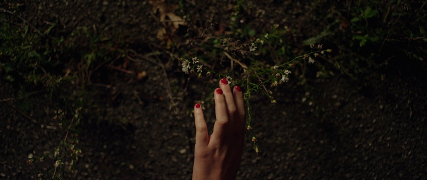 Фото - Оно: 850x360 / 73.28 Кб