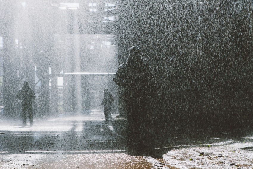 Фото - Защитники: 850x567 / 191.93 Кб