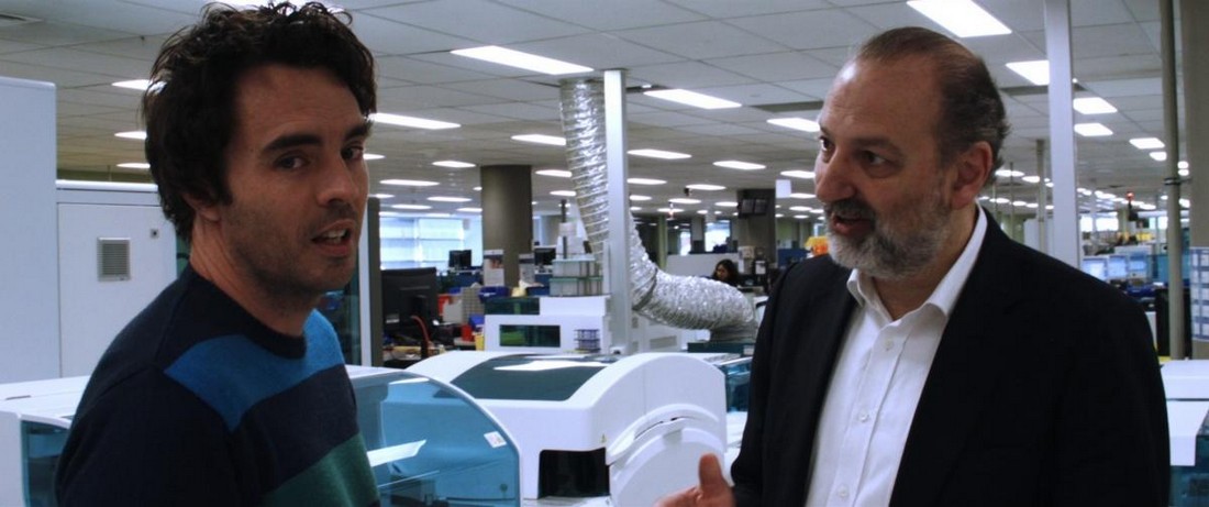 Фото - Сахар: 1100x461 / 94.79 Кб