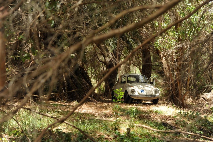 Фото - 10 мгновений судьбы: 850x566 / 229.51 Кб