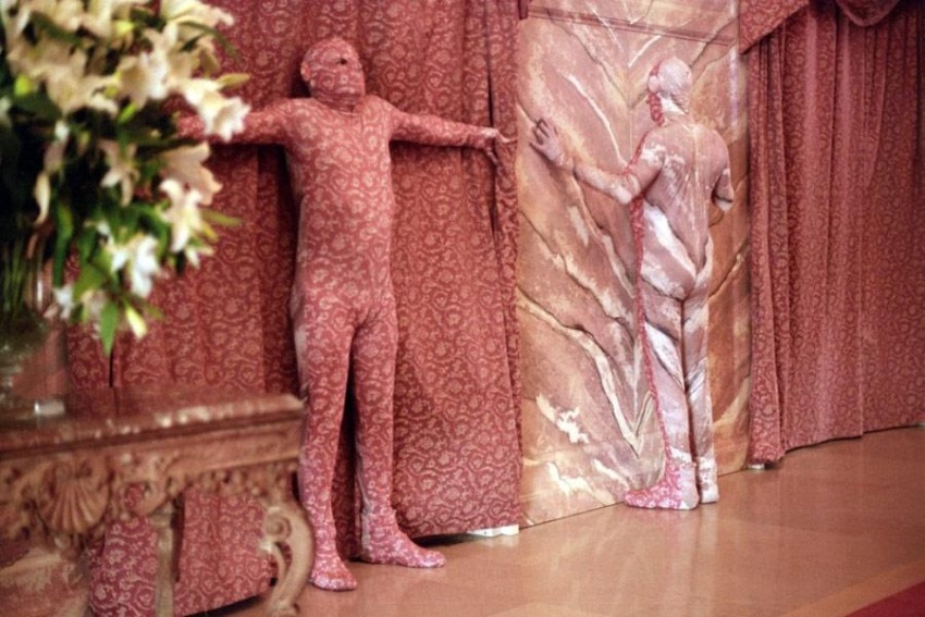 Фото - Розовая пантера: 850x567 / 153.42 Кб