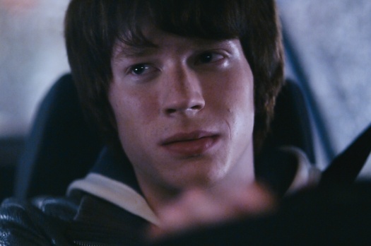 Фото - Елки : 525x348 / 39.73 Кб