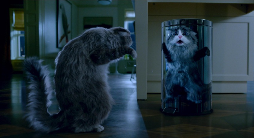 Фото - Девять жизней: 850x463 / 78.06 Кб