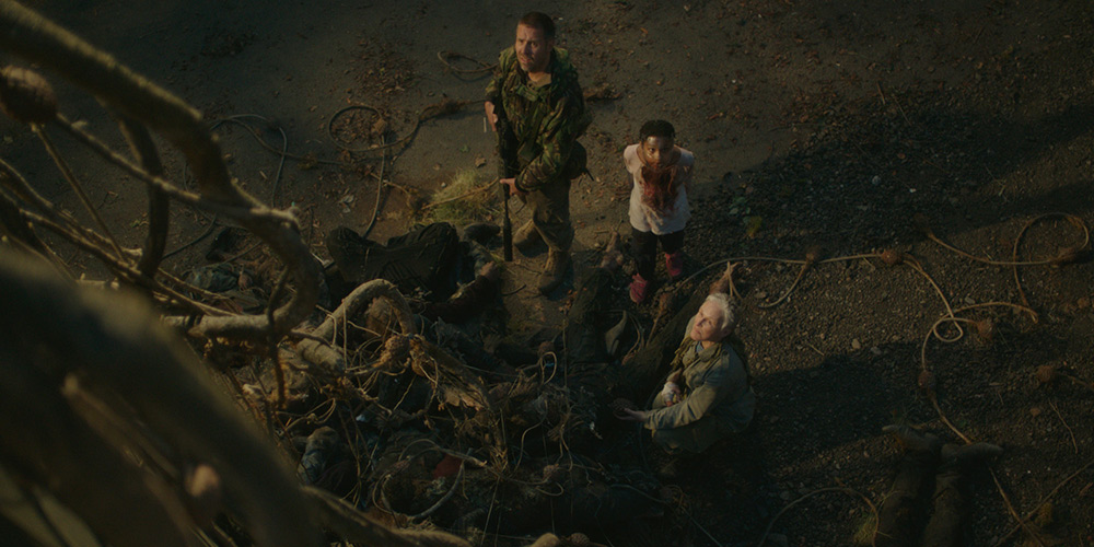 Фото - Новая эра Z: 1000x500 / 162.94 Кб