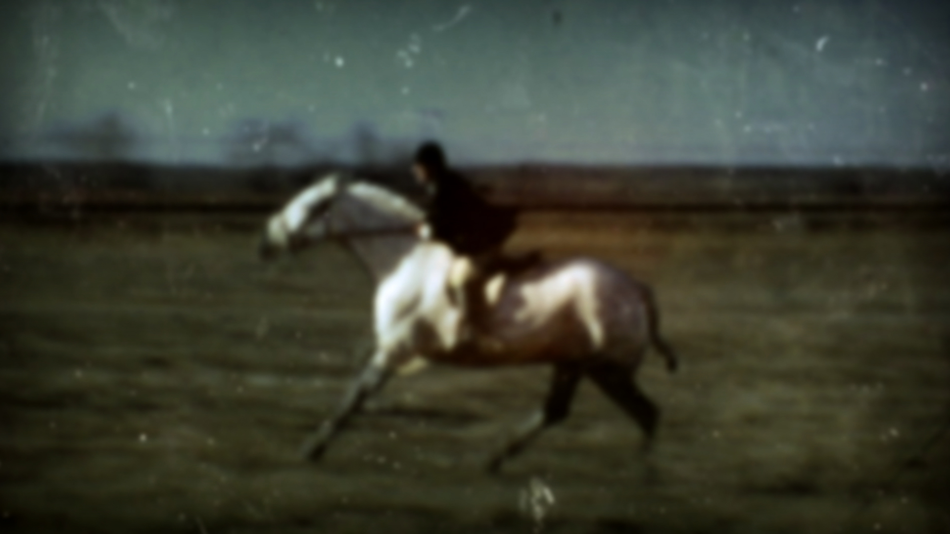 Фото - Собачье сердце: 1920x1080 / 598.49 Кб