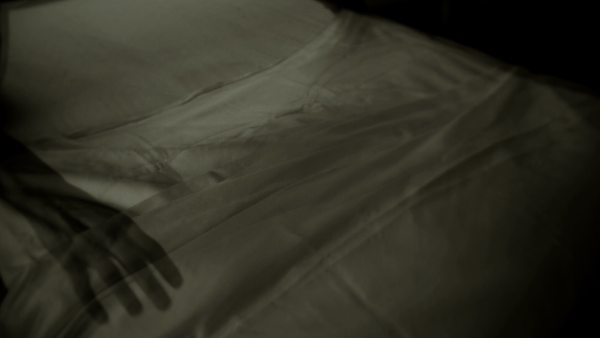 Фото - Собачье сердце: 1920x1080 / 563.68 Кб