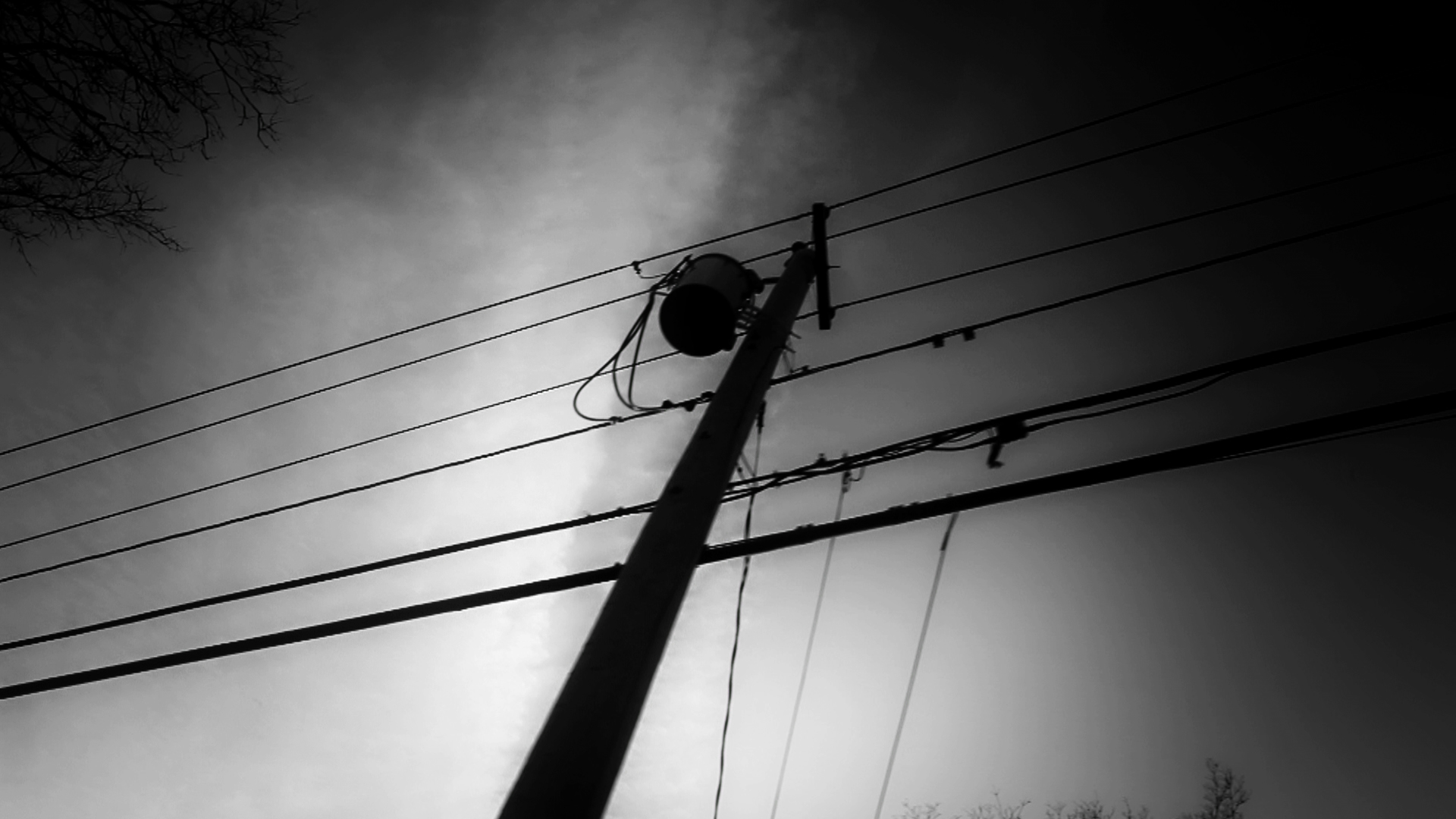 Фото - Собачье сердце: 1920x1080 / 626 Кб