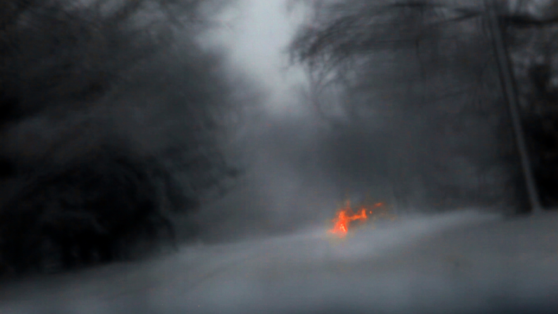 Фото - Собачье сердце: 1920x1080 / 903.29 Кб