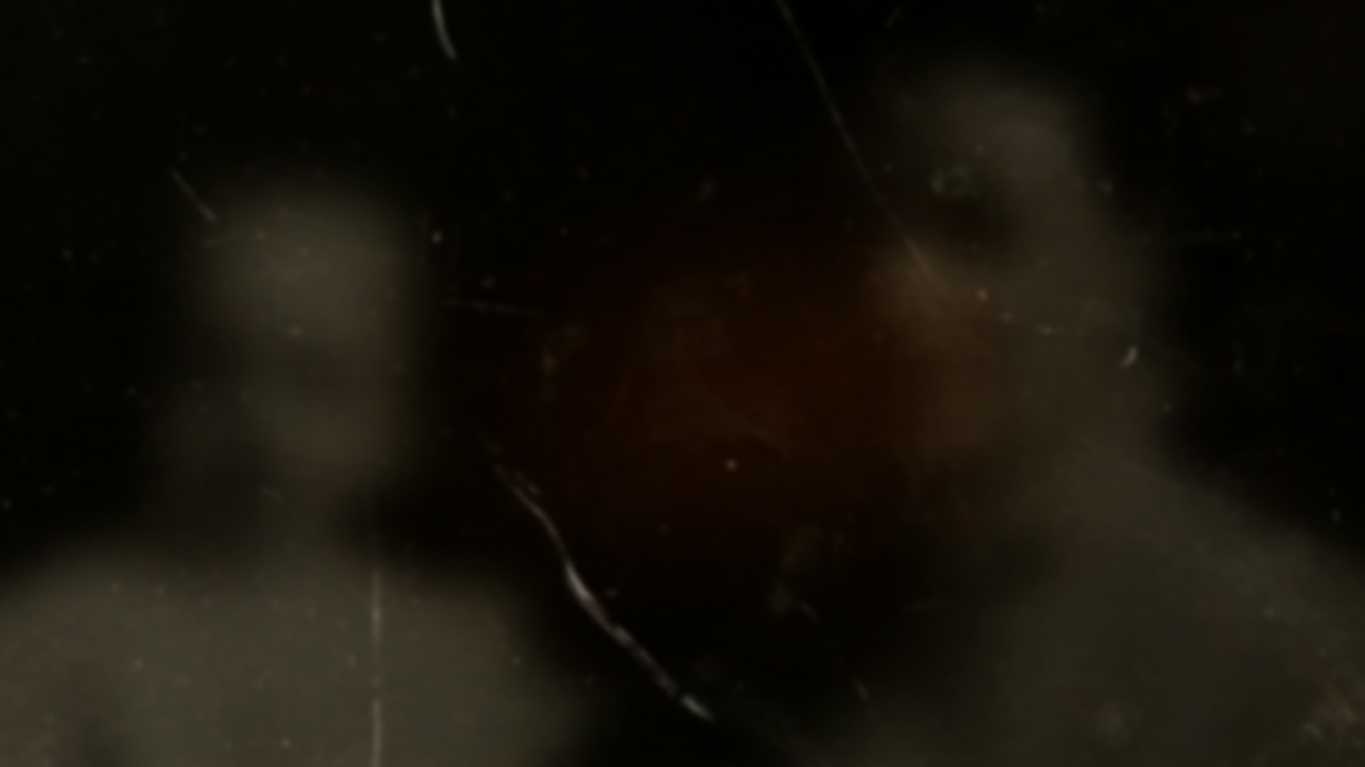 Фото - Собачье сердце: 1920x1080 / 407.63 Кб