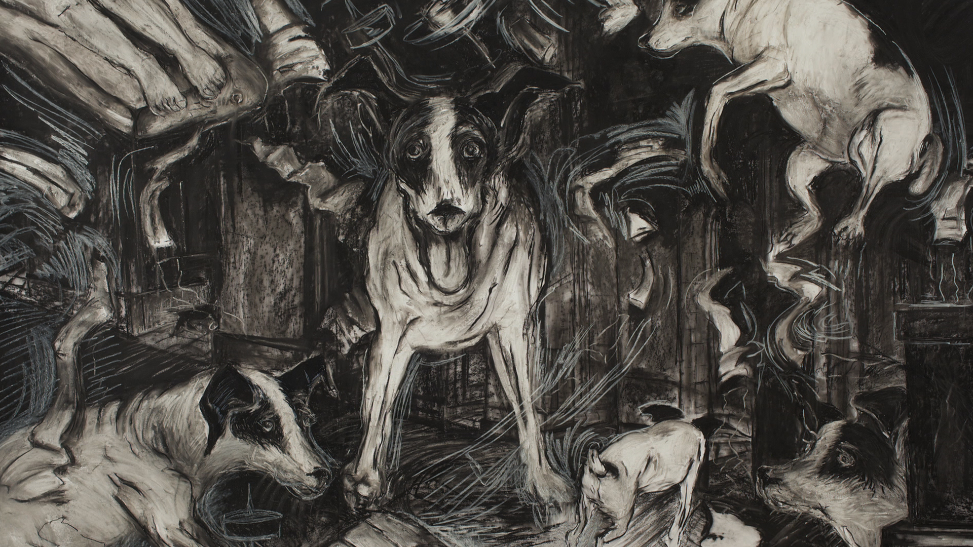 Фото - Собачье сердце: 1920x1080 / 1611.83 Кб