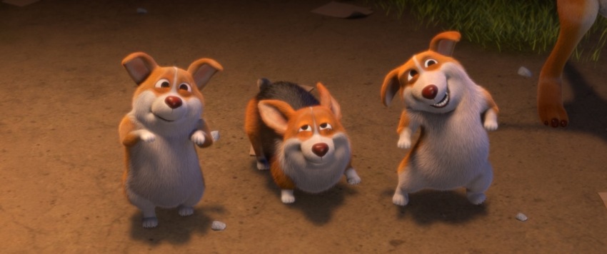 Фото - Мишки Буни: Тайна цирка: 850x356 / 61.69 Кб