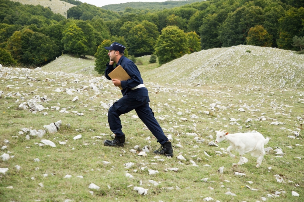 Фото - К черту на рога: 1000x666 / 433.51 Кб