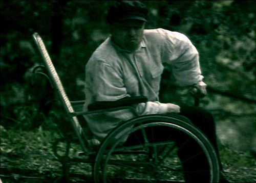 Фото - Телец: 500x359 / 77.89 Кб