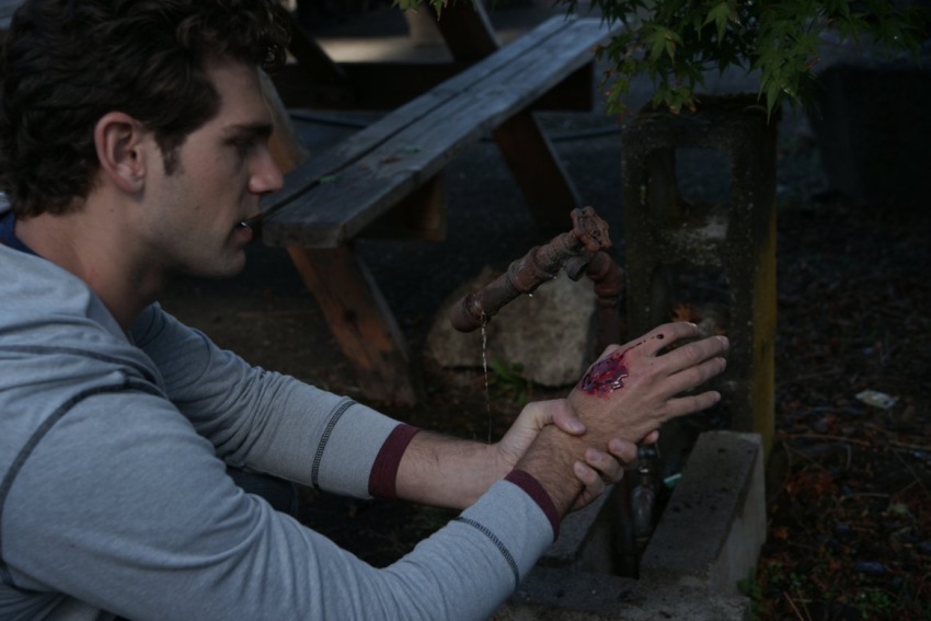 Фото - Лихорадка: 850x567 / 91.45 Кб